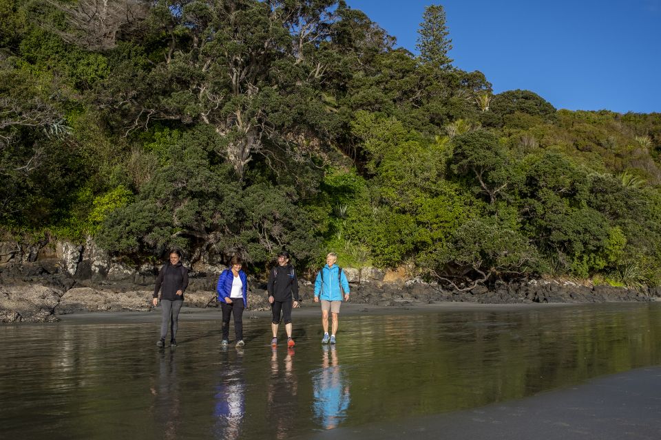 Waiheke Island: Forest and Beach Premium Guided Walk - Inclusions