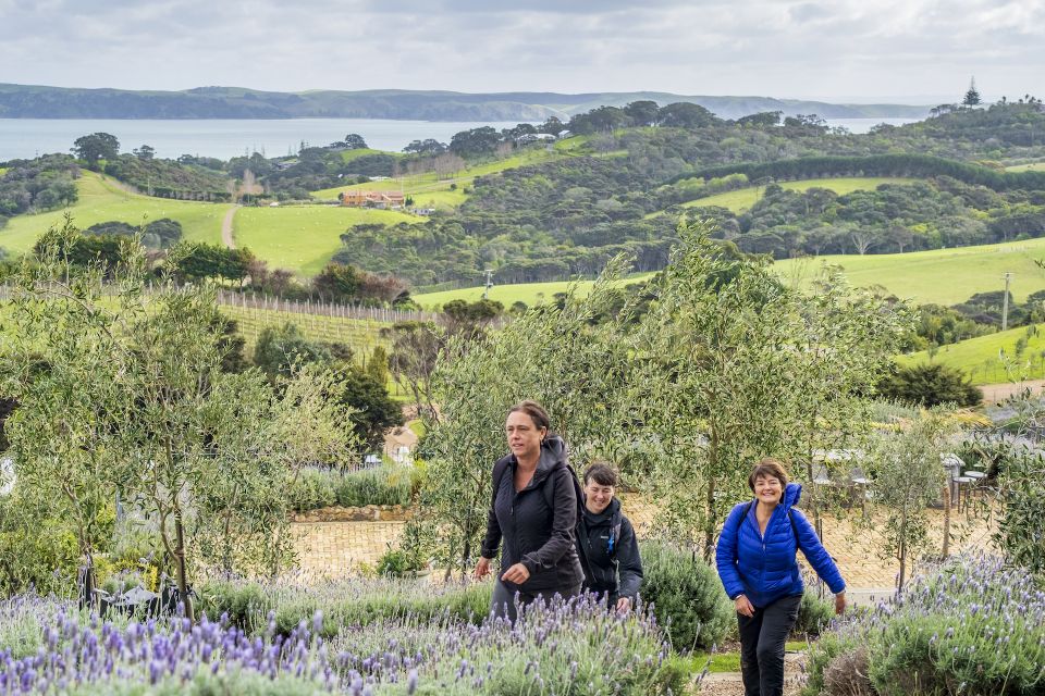 Waiheke Island: Premium Vineyard, Wine Tasting and Bush Walk - Experience Details