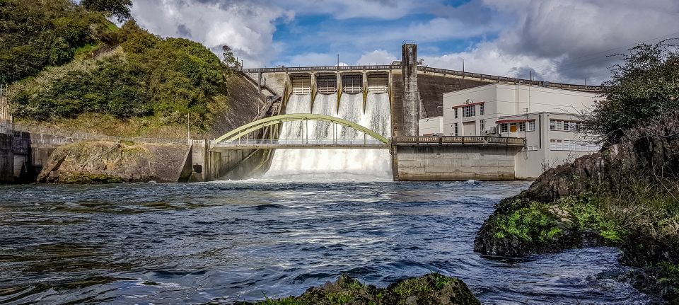 Waikato River: 1-Hour Ecological River Cruise - Meeting Point