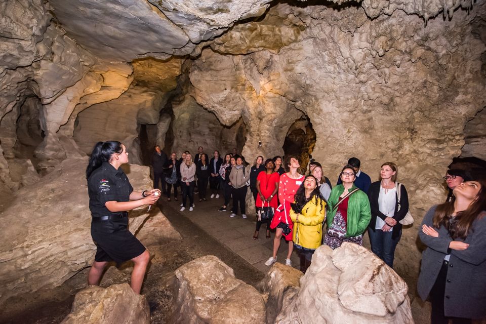 Waitomo: Glowworm Caves Guided Tour by Boat - Visitor Information