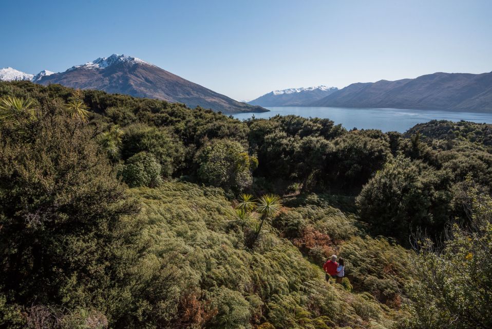 Wanaka: Water Taxi & Mou Waho Island Tour - Important Information