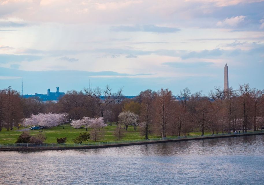 Washington DC: 1 or 2-Day Unlimited Water Taxi Pass - Offer Details