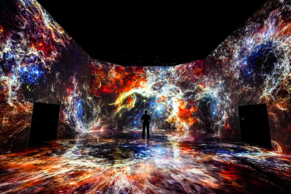 Washington, DC: ARTECHOUSE Immersive Art Experience Ticket - Important Information for Visitors