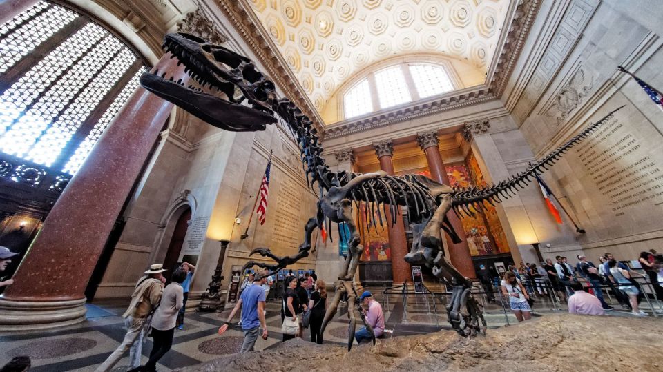 Washington DC: Museum of Natural History Private Guided Tour - Live Coral Reef Exploration