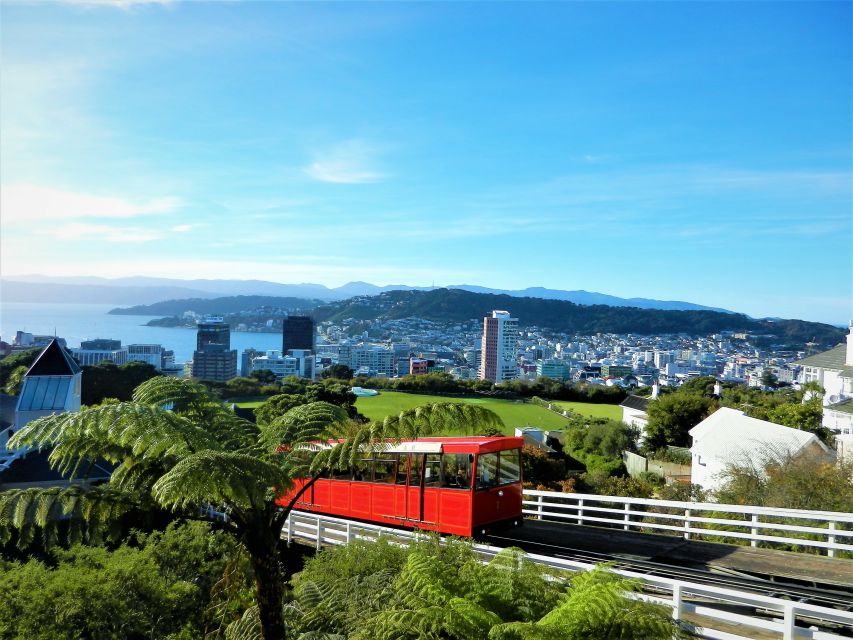 Wellington: Return Cable Car Ticket - Customer Reviews