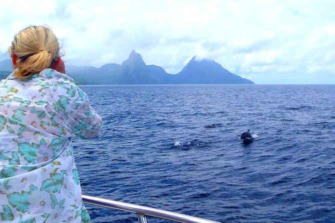 Whale and Dolphin Watching Cruise in St Lucia - Tips for a Successful Trip