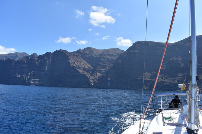 Whale Watching in Los Gigantes for Over 11 Years - Opportunity to Swim and Snorkel