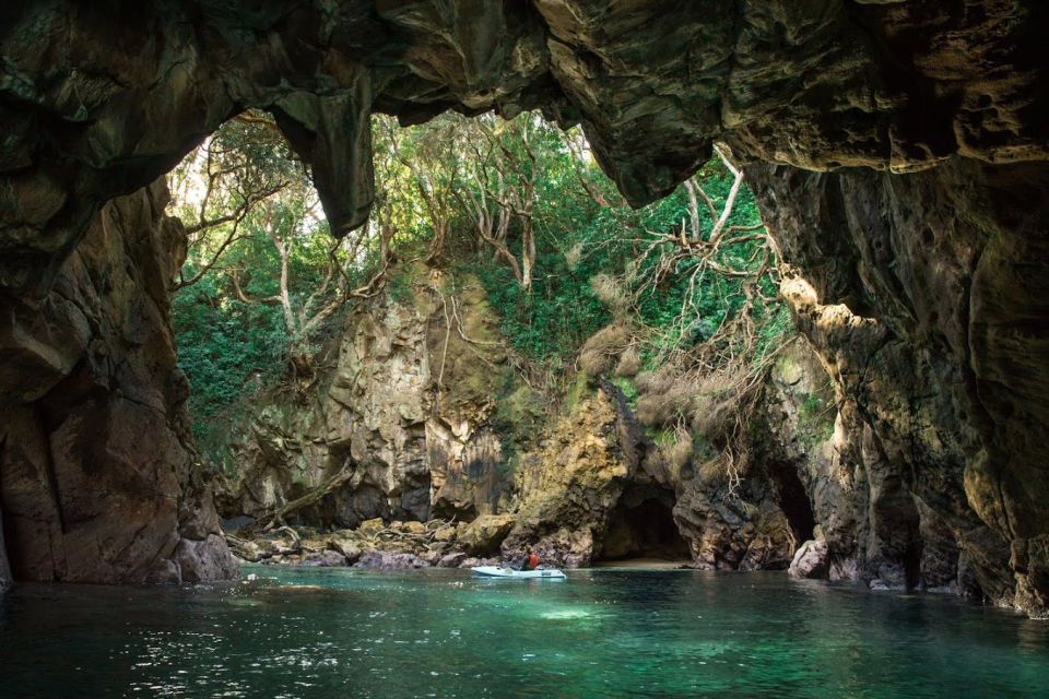 Whangamata: Donut Island Guided Kayaking Experience - Additional Information and Resources