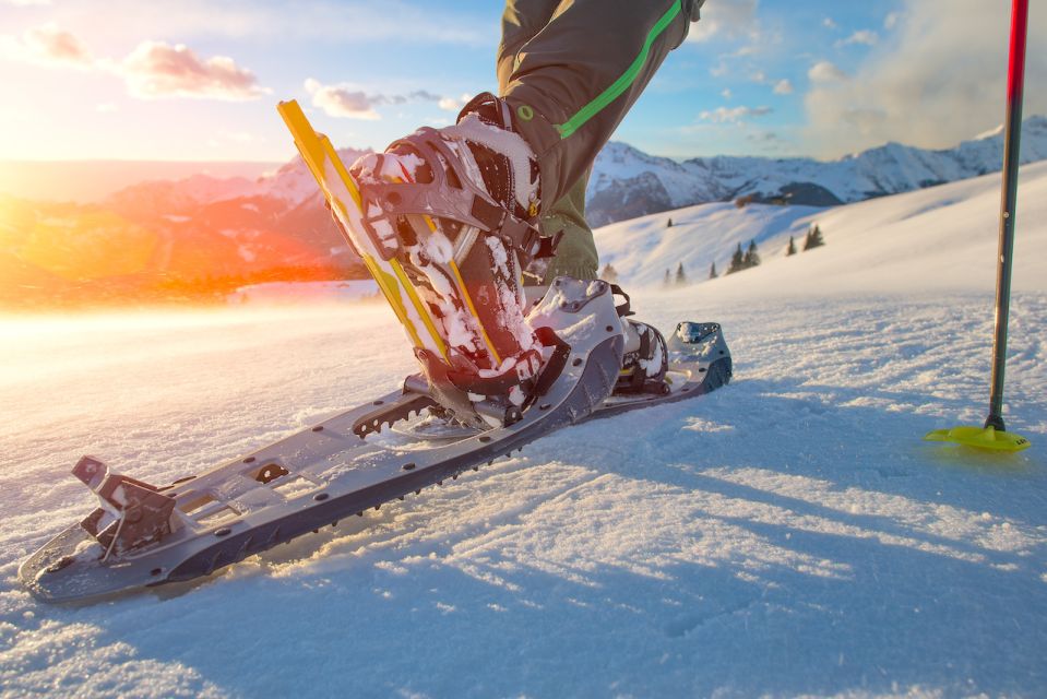 Whistler: Backcountry Snowshoeing Tour With Guide - Tour Options for Snowshoeing