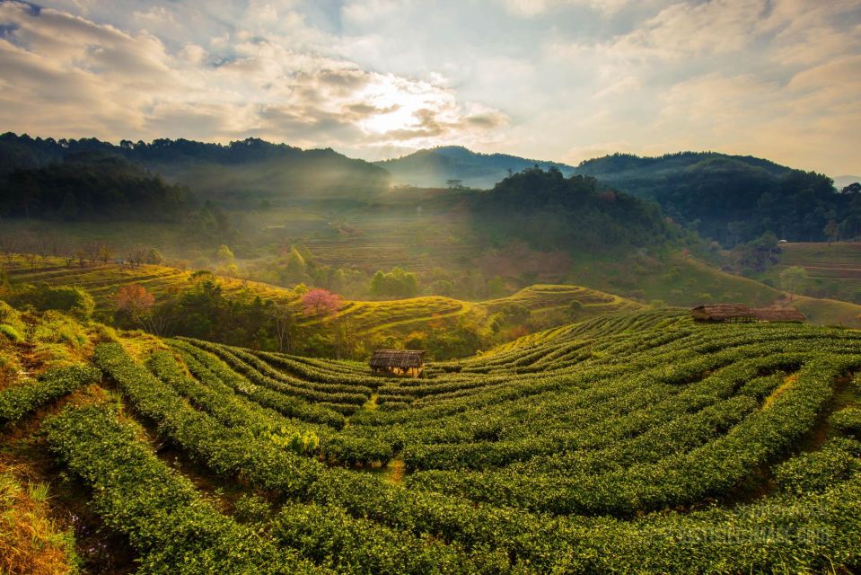 White Crater, Hot Spring and Suspension Bridge Guided Tour - Rengganis Ciwidey Sightseeing