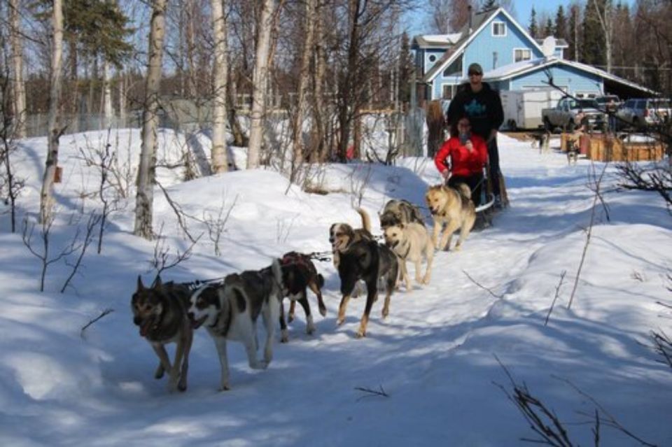 Willow: Traditional Alaskan Dog Sledding Ride - Exploring the Alaskan Wilderness