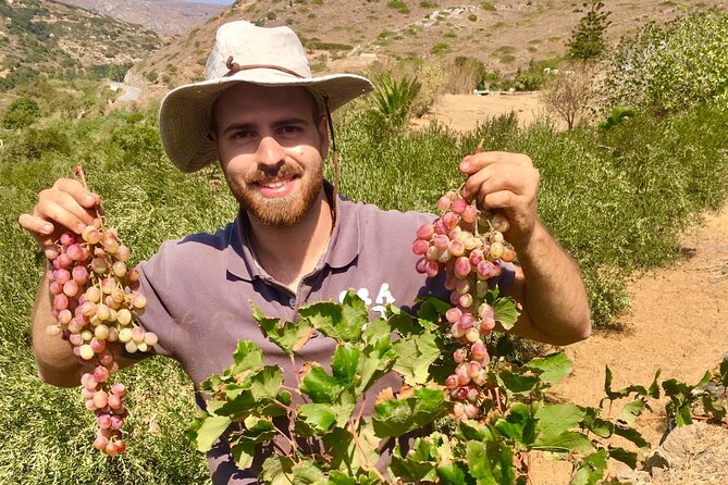 Wine Tasting and Tour in Saint Anna Winery in Naxos - Wine Tasting and Local Products