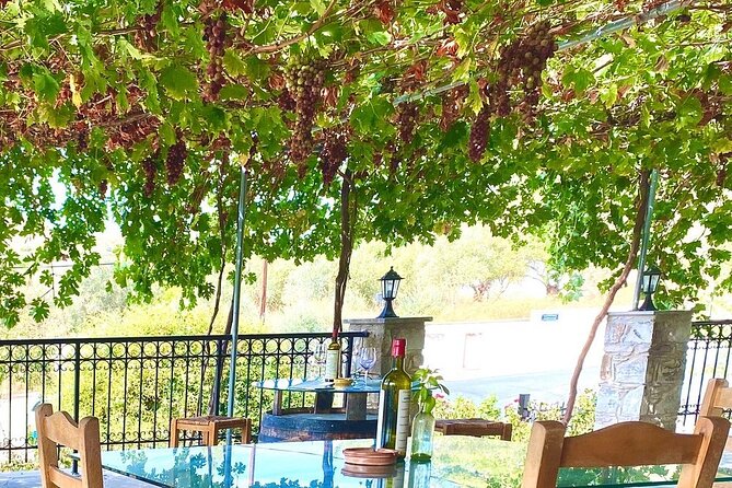 Wine Tasting and Winery Tour in Lemona Village, Paphos - Breathtaking Views of Troodos Mountains