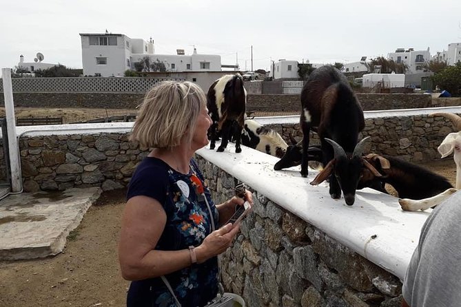 Wine Tasting Tour at a Traditional Farm in Mykonos - Tasting of Islands Distinct Wine Blends