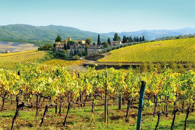 Wine Tasting & Tuscany Countryside, San Gimignano & Volterra - Transportation and Logistics