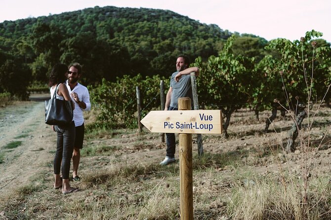 Wine Tour & Food Experience in Pic St Loup - Meeting Point and Pickup