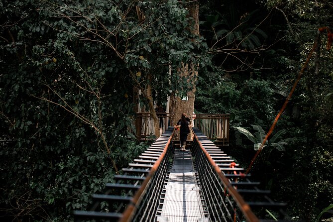 World B+ (Zipline 18 Platforms + Roller + Sky Walk With World Set Menu ) - Package Inclusions