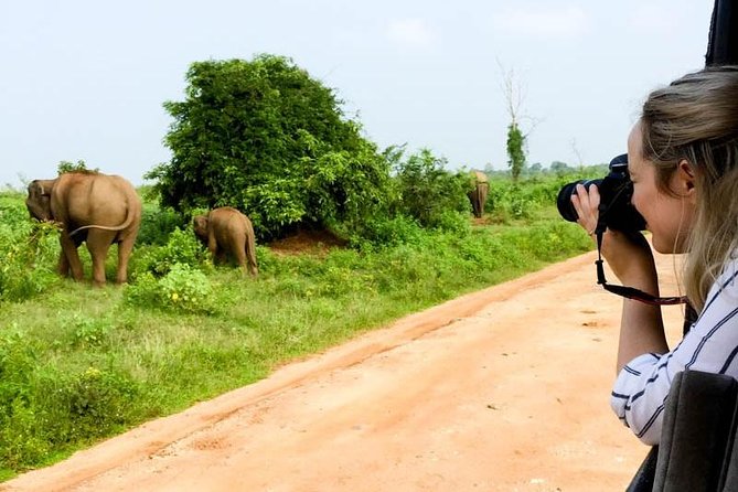 Yala Safari Day Trip From Bentota/ Kalutara/ Ahungalla/ Hikkaduwa - Pricing and Booking Details