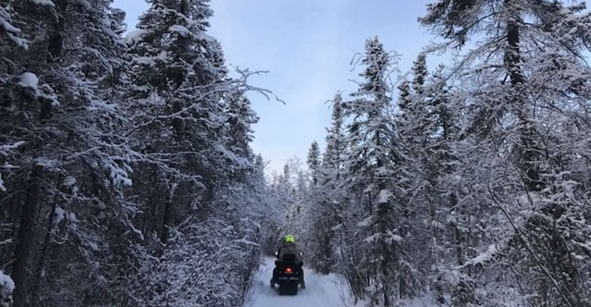 Yellowknife: Backcountry Snowmobile Tour With Winter Gear - Scenic Nature Views