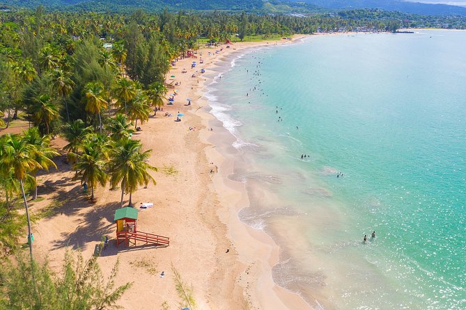Yunque Rainforest River Rope Swing With Waterslide and Beach Tour - Pricing and Booking Details
