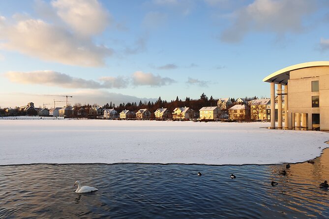 2-Hour Reykjavik Private Walking Tour - Accessibility and Accommodations