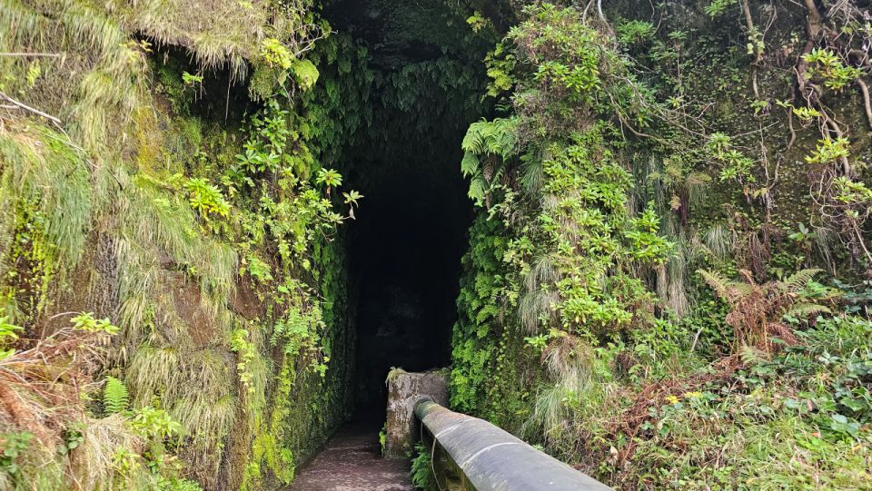 25 Fontes Levada Hike - Rabaçal (Calheta) - What to Bring and Not Allowed