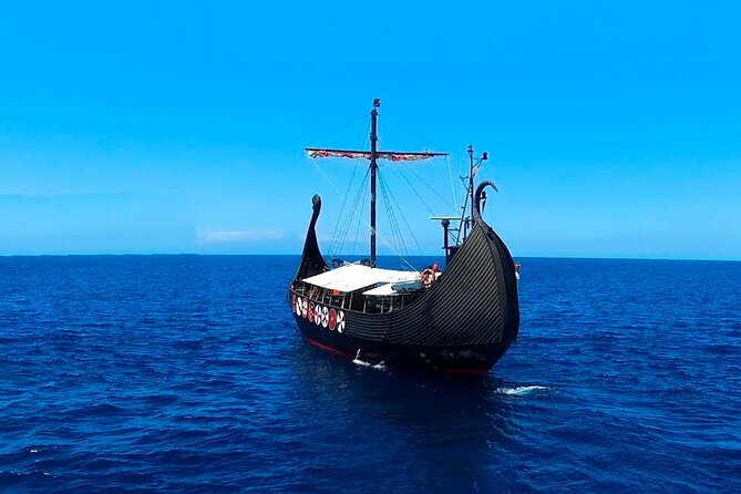 2h Viking Cruise Whales and Dolphins Watching - Cruise Duration and Capacity
