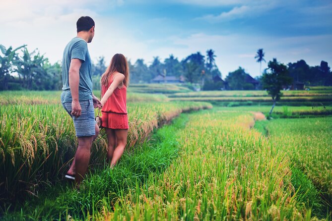 3 Days for the Best of Ubud Private Tour - What to Expect