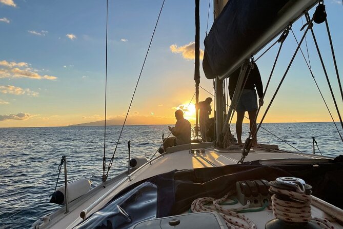 3-Hour Cetacean Watching and Snorkeling Tour in Tenerife - Inclusions and Amenities