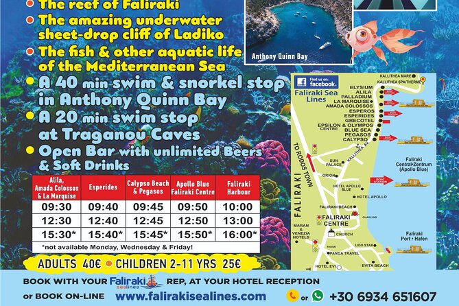 3 Hour Yellow Semi Submarine Swimming Cruise With Drinks Included! - Marine Life and Underwater Views