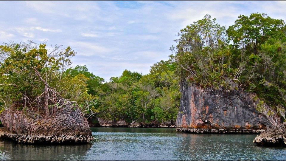 3in1: Los Haitises National Park + Yanigua Waterfall + Montaña Redonda - Culinary Delights