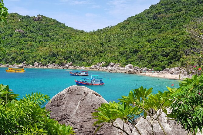 5 Islands Full-Day Tour Around Koh Tao and Koh Nangyuan - Reviews