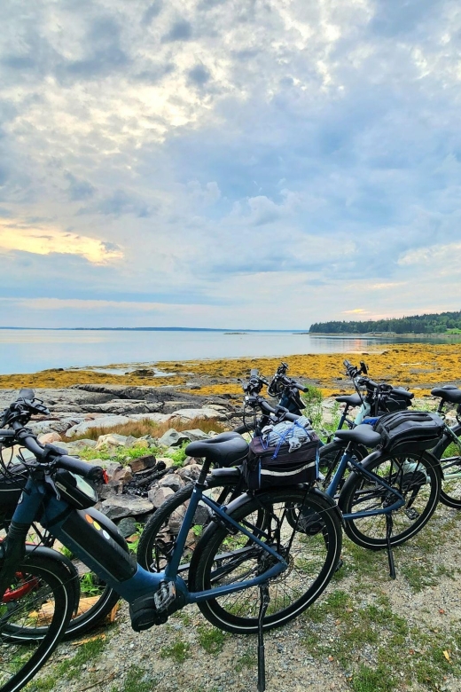 Acadia National Park Carriage Roads: Guided Ebike Tour - Tour Highlights and Activities