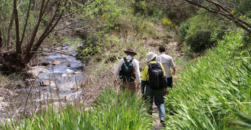 Adelaide: Morialta Wilderness and Wildlife Hike - Booking