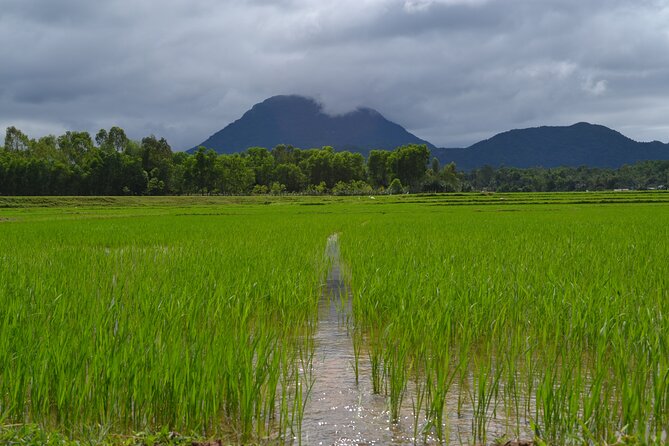 Adventure Bike Tour From Hoi an - Cycling Experience