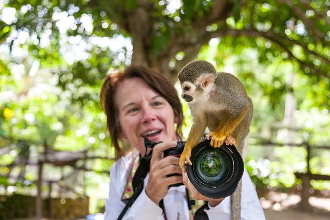Adventure Bundle: Monkeyland, Ziplines & Buggies Punta Cana - Monkeyland Guided Visit