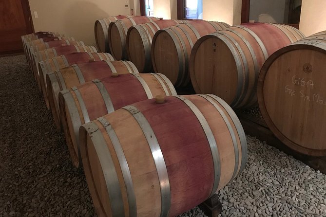 Afternoon Wine Tour to Chateauneuf Du Pape From Avignon - Wine Tastings