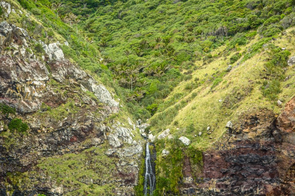 Akaroa: Dolphin Nature Cruise - Customer Reviews