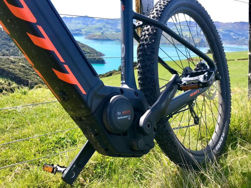 Akaroa: Guided Electric Mountain Bike Tour - Customer Reviews