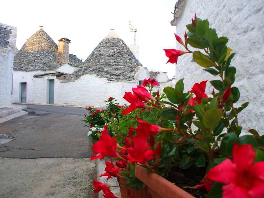 Alberobello: 2-Hour Guided Walking Tour of the Trulli - Highlights of the Walking Tour