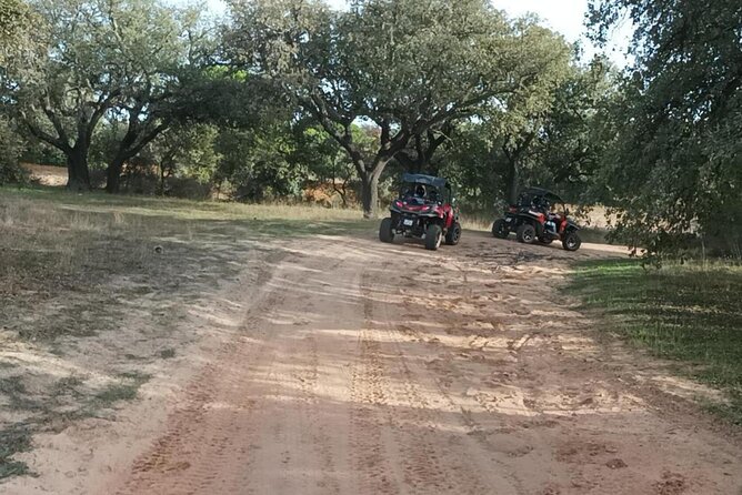 Albufeira 2 Hour Off-Road Tour Buggy Adventure Tour - Accessibility and Suitability