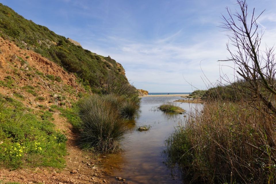 Algarve: Guided WALK in the Natural Park | South Coast - Activity Inclusions