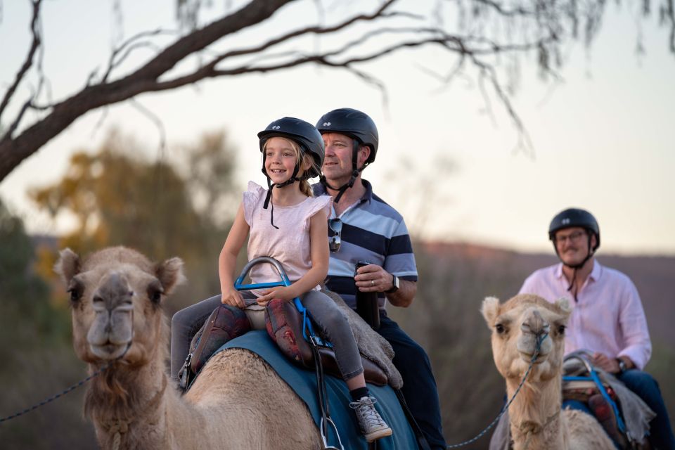 Alice Springs: Guided Outback Camel Ride - Customer Reviews and Tips