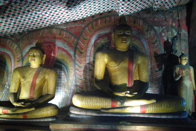 All Inclusive Private Day Tour Sigiriya, Dambulla & Traditional Village Tour - Reviews and Testimonials