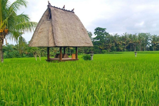 All-Inclusive Ubud Private Tour - Safety and Security