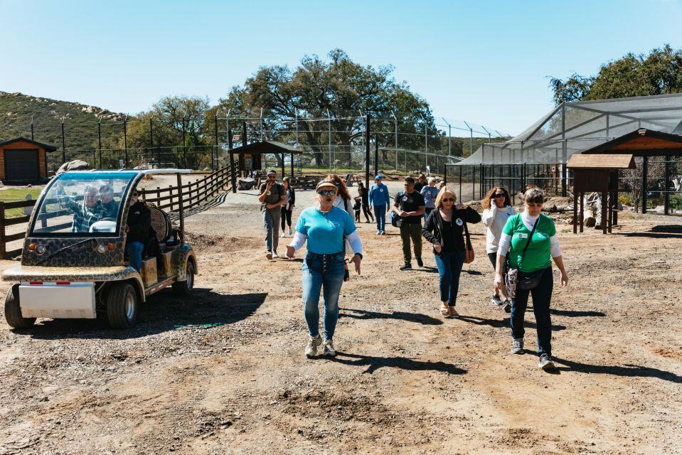 Alpine: Lions Tigers & Bears Sanctuary Visit and Feeding - Feeding a Rescued Big Cat