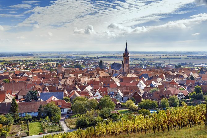 Alsace Wine Route Wineries & Tasting Small Group Guided Tour From Strasbourg - Lunch Break