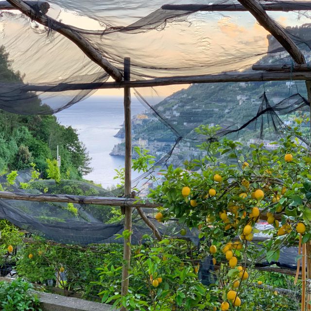 Amalfi Coast Path of the Lemon Private Walking Tour - Path of the Lemons Guided Tour