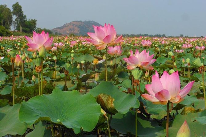 Angkor Wat 2-Day Tour From Bangkok - Tonle Sap Boat Ride