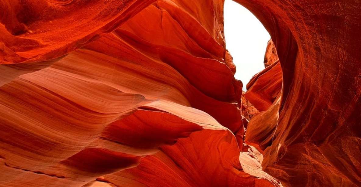 Antelope Canyon: Owl Canyon Guided Hiking Tour - Wildlife and Geology